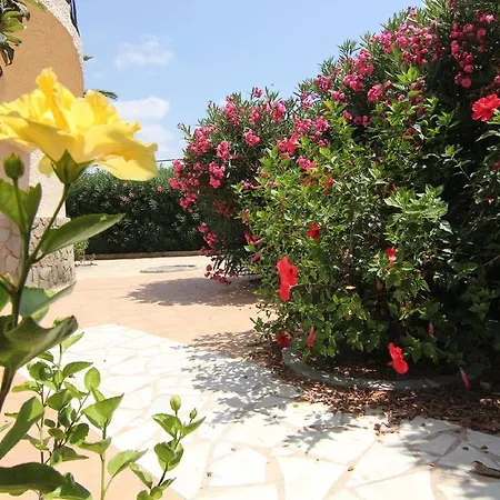 Maryvilla 224 * كاليبي